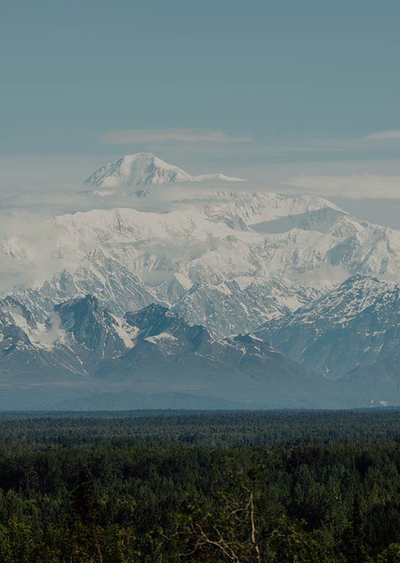 Ultimate Denali Vacation 9 Days of Alaska Wilderness